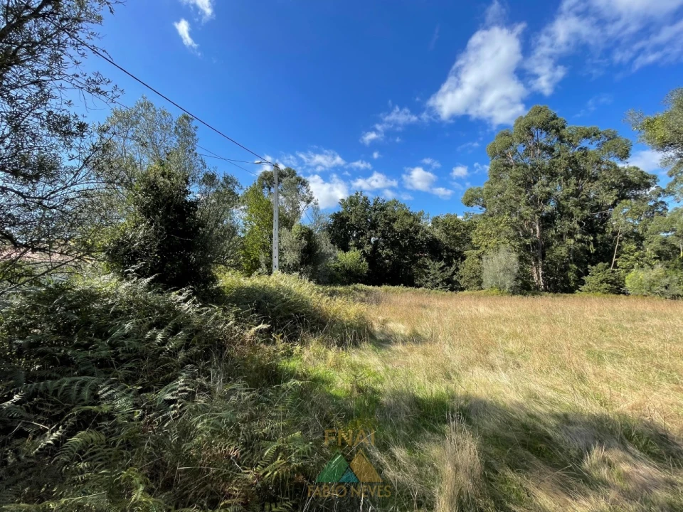 Quinta para Venda em Montaria Foto 7