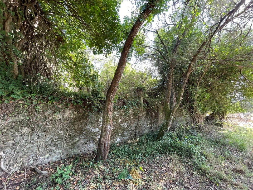 Quinta para Venda em Montaria Foto 8