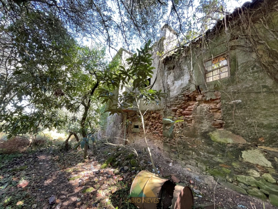 Quinta para Venda em Montaria Foto 10