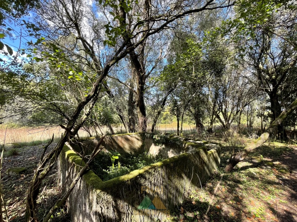 Quinta para Venda em Montaria Foto 11