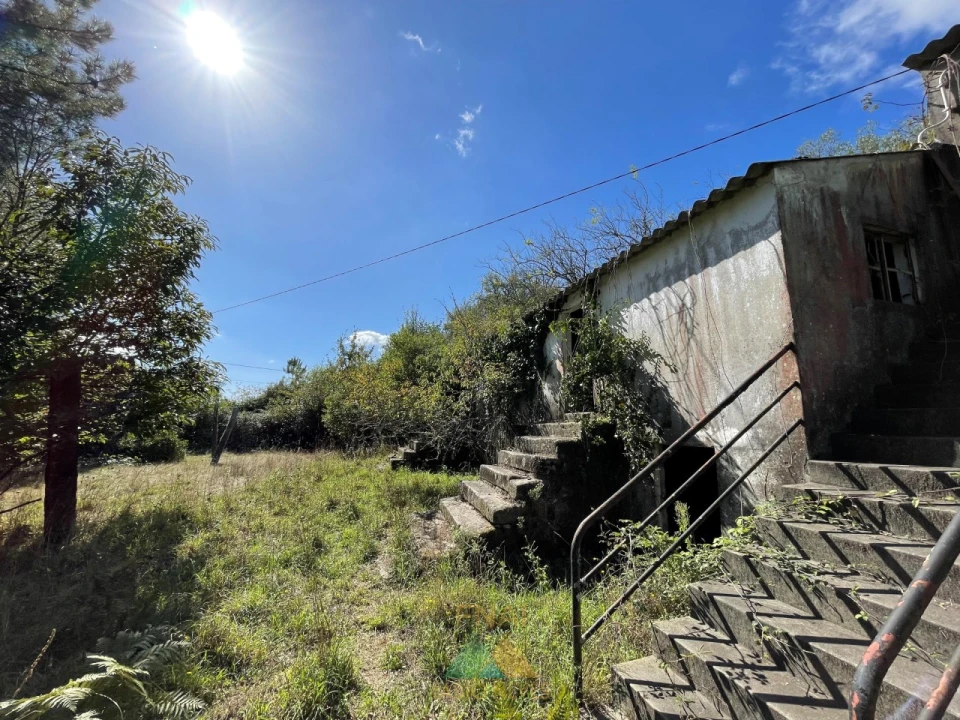 Quinta para Venda em Montaria Foto 19