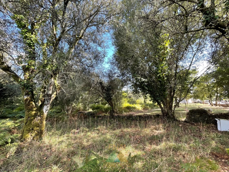 Quinta para Venda em Montaria Foto 24