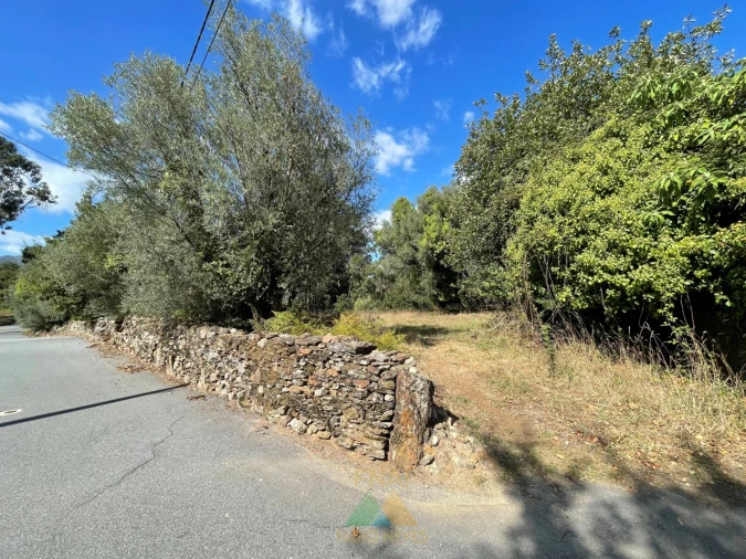 Quinta para Venda em Montaria Foto 3