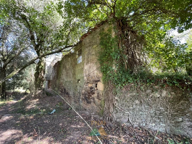 Quinta para Venda em Montaria Foto 9