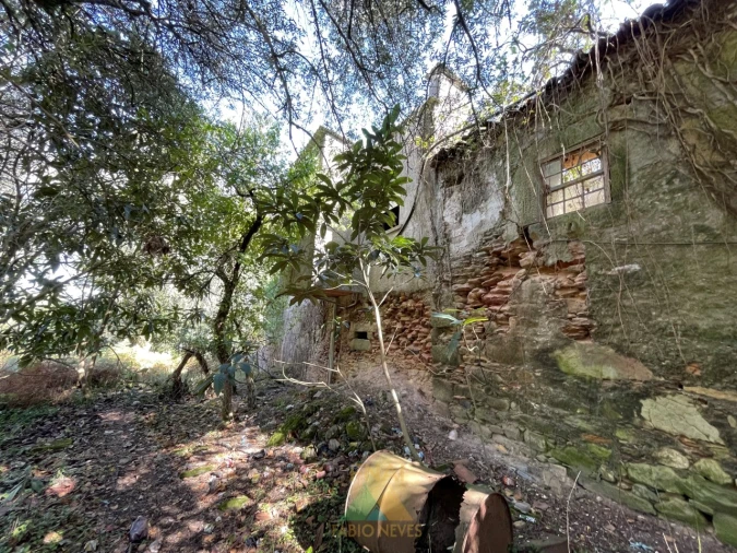 Quinta para Venda em Montaria Foto 10