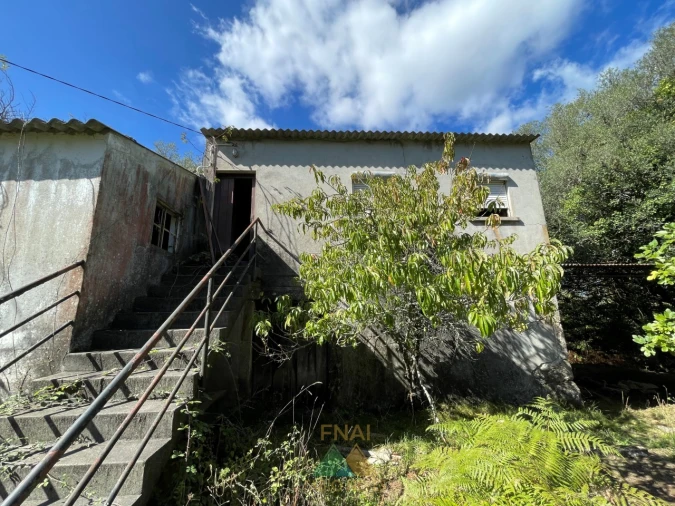 Quinta para Venda em Montaria Foto 20