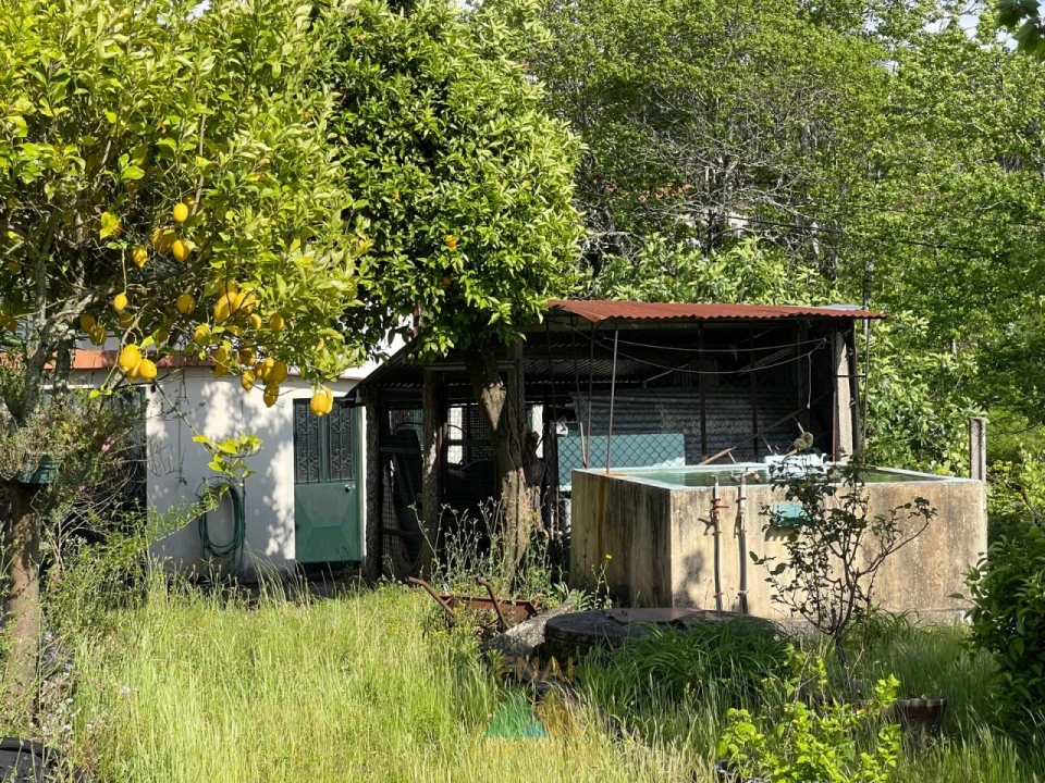 Moradia T3 para Venda em Couto Foto 31