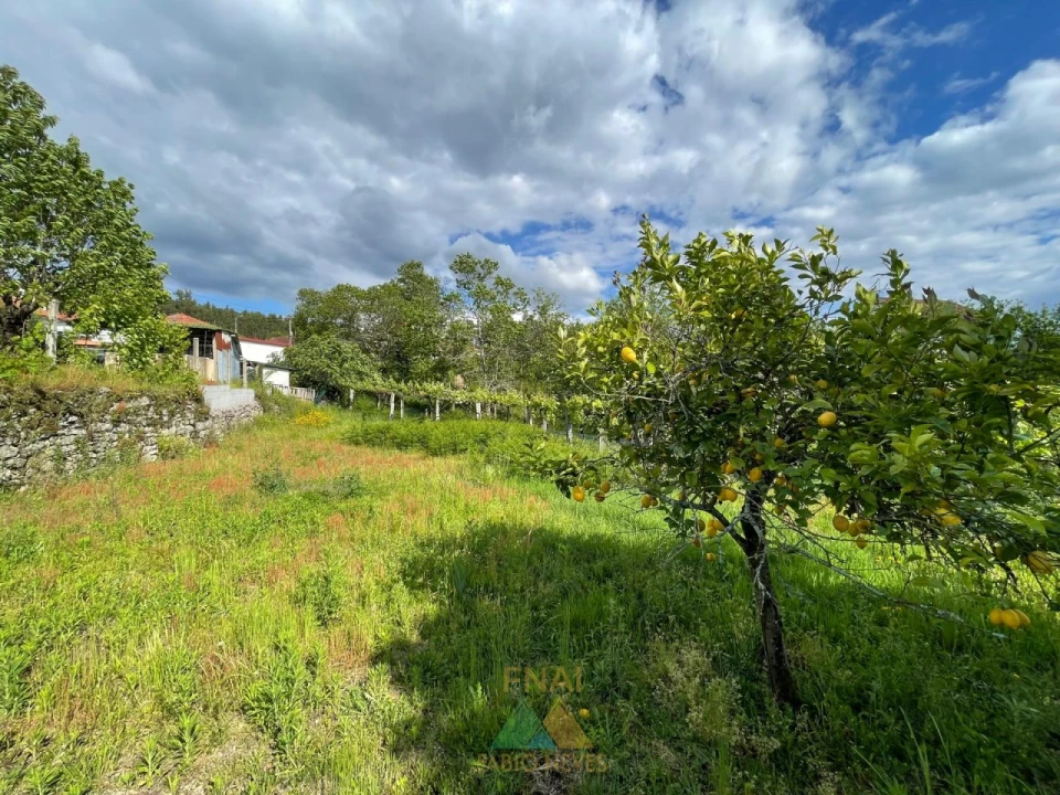 Moradia T3 para Venda em Couto Foto 39