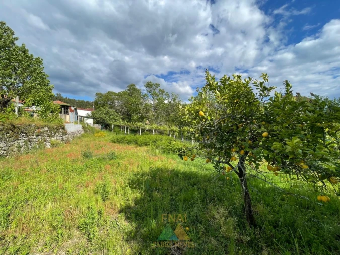 Moradia T3 para Venda em Couto Foto 39