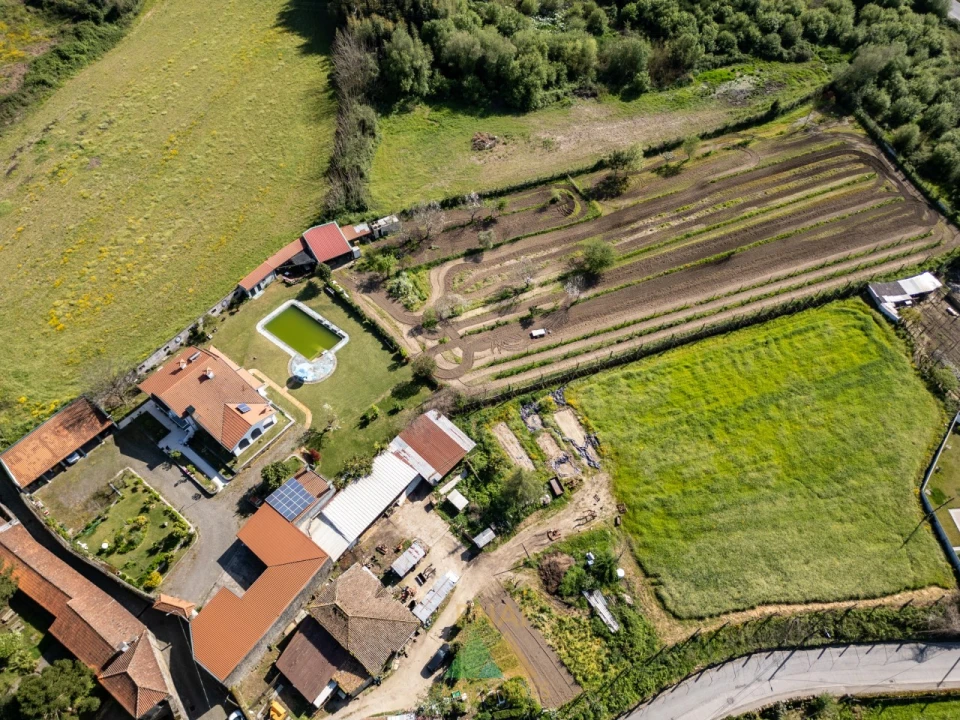 Quinta T4 para Venda em Palmeira Foto 3