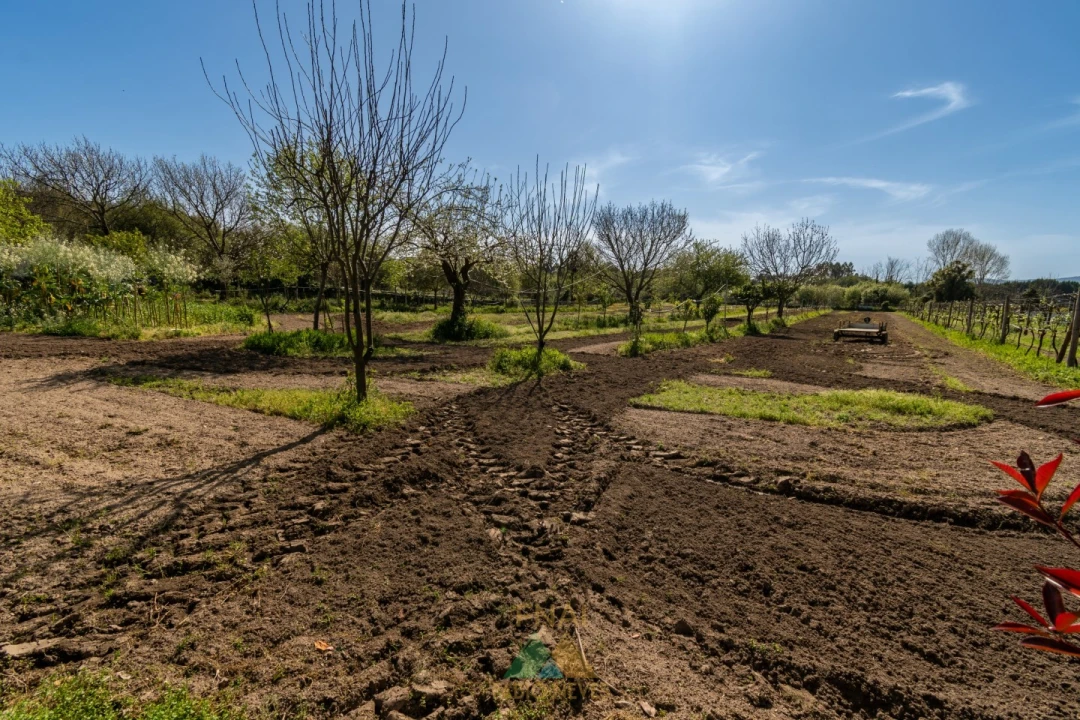 Quinta T4 para Venda em Palmeira Foto 55