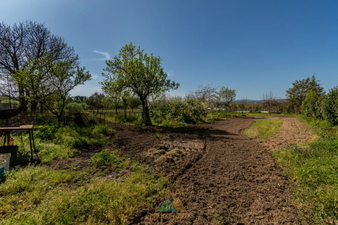 Quinta T4 para Venda em Palmeira Foto 58