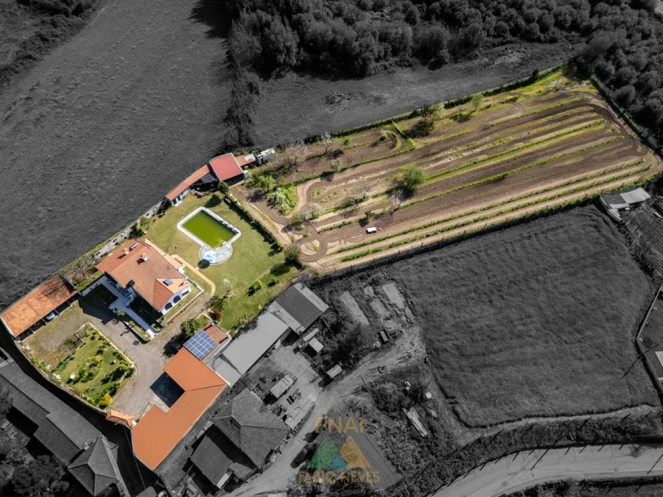 Quinta T4 para Venda em Palmeira Foto 68