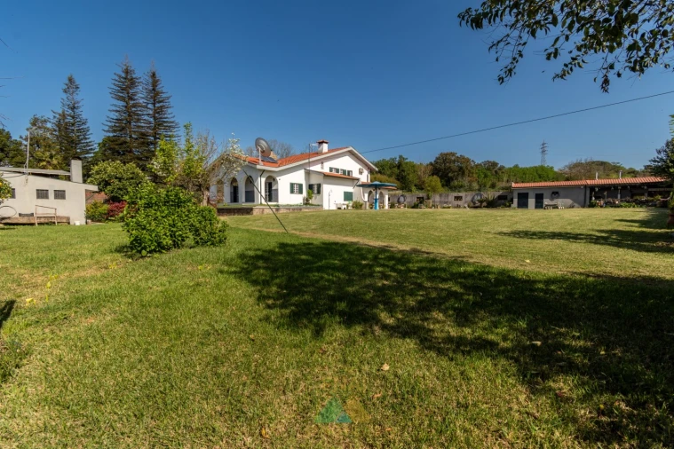 Quinta T4 para Venda em Palmeira Foto 54