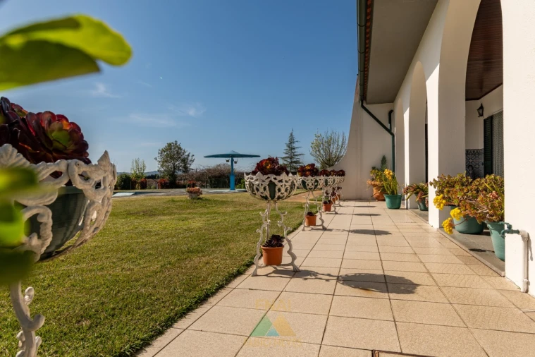 Quinta T4 para Venda em Palmeira Foto 60