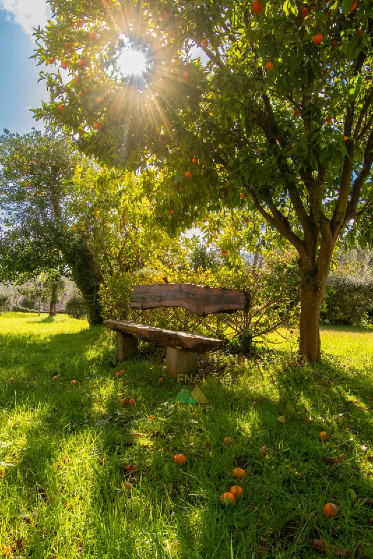 Quinta T4 para Venda em São Pedro de Arcos Foto 60