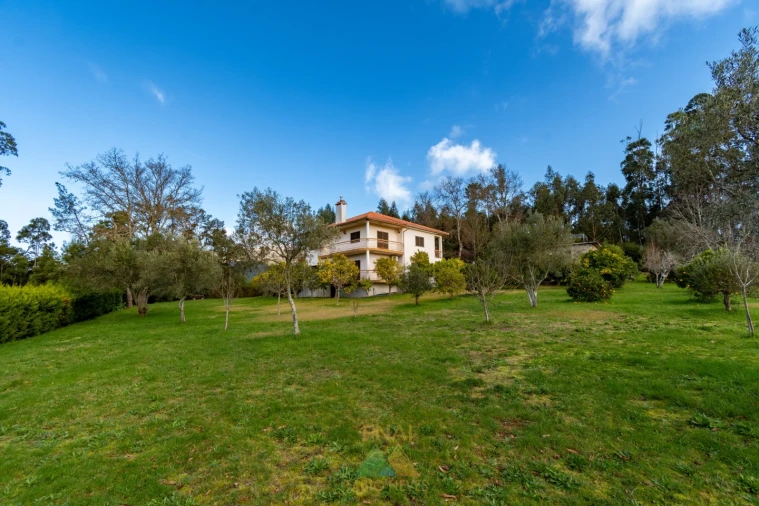 Quinta T4 para Venda em São Pedro de Arcos Foto 17