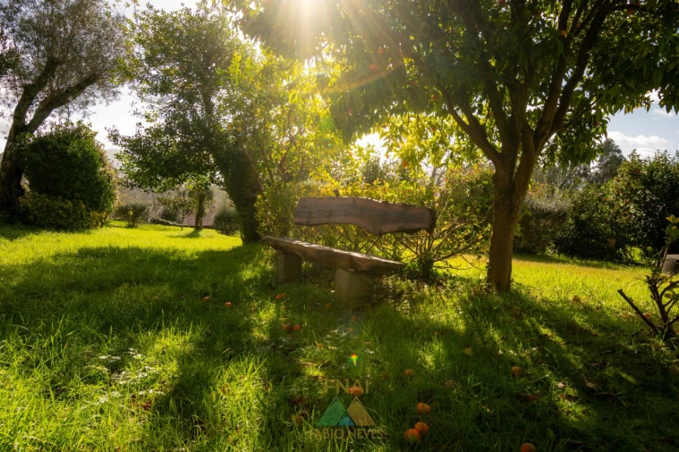 Quinta T4 para Venda em São Pedro de Arcos Foto 59