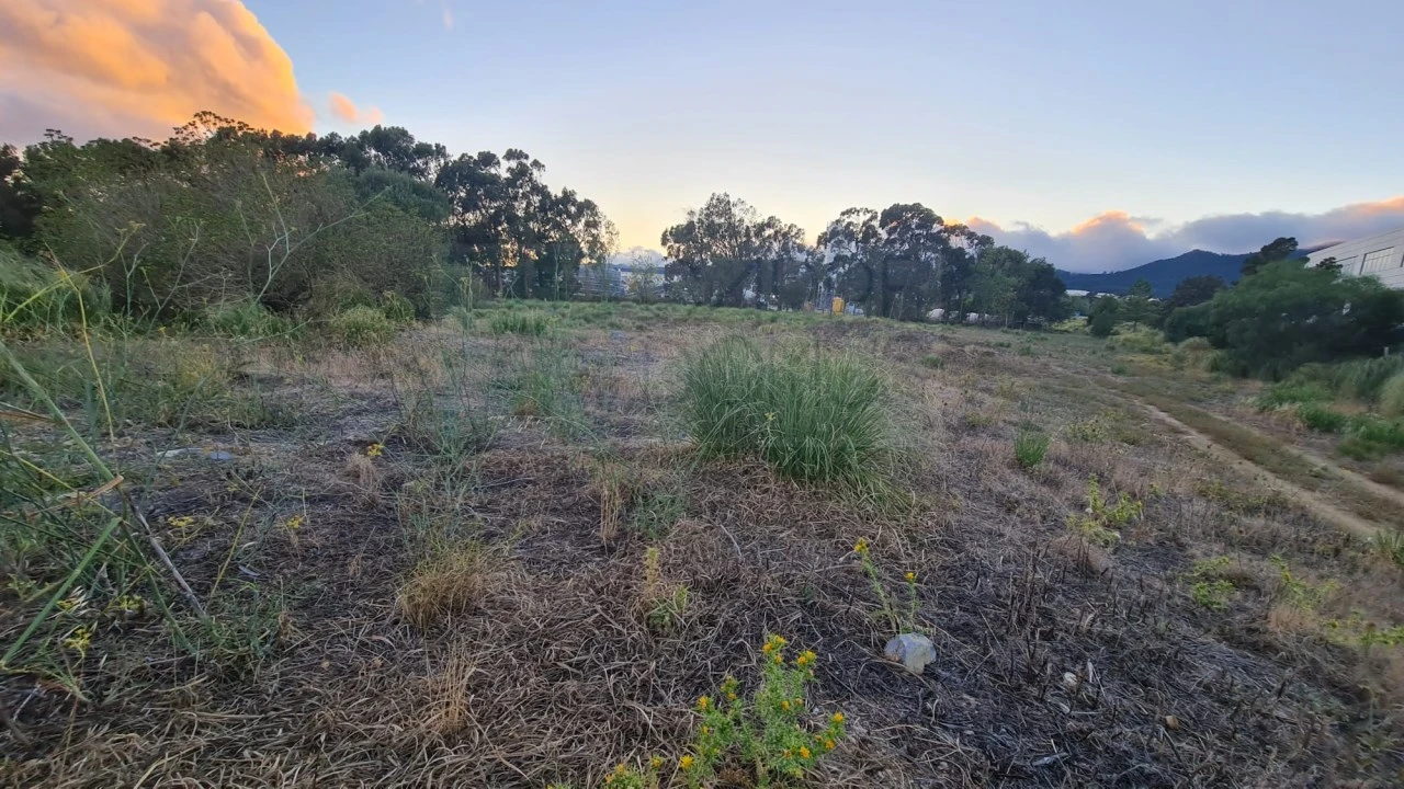 Terreno para Venda em Santa Maria e São Miguel, São Martinho, São Pedro Penaferrim Foto 18