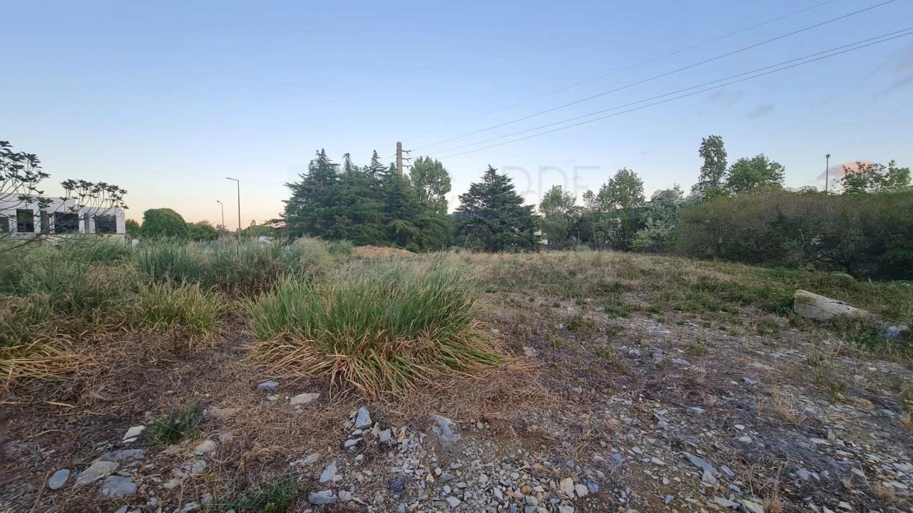 Terreno para Venda em Santa Maria e São Miguel, São Martinho, São Pedro Penaferrim Foto 19