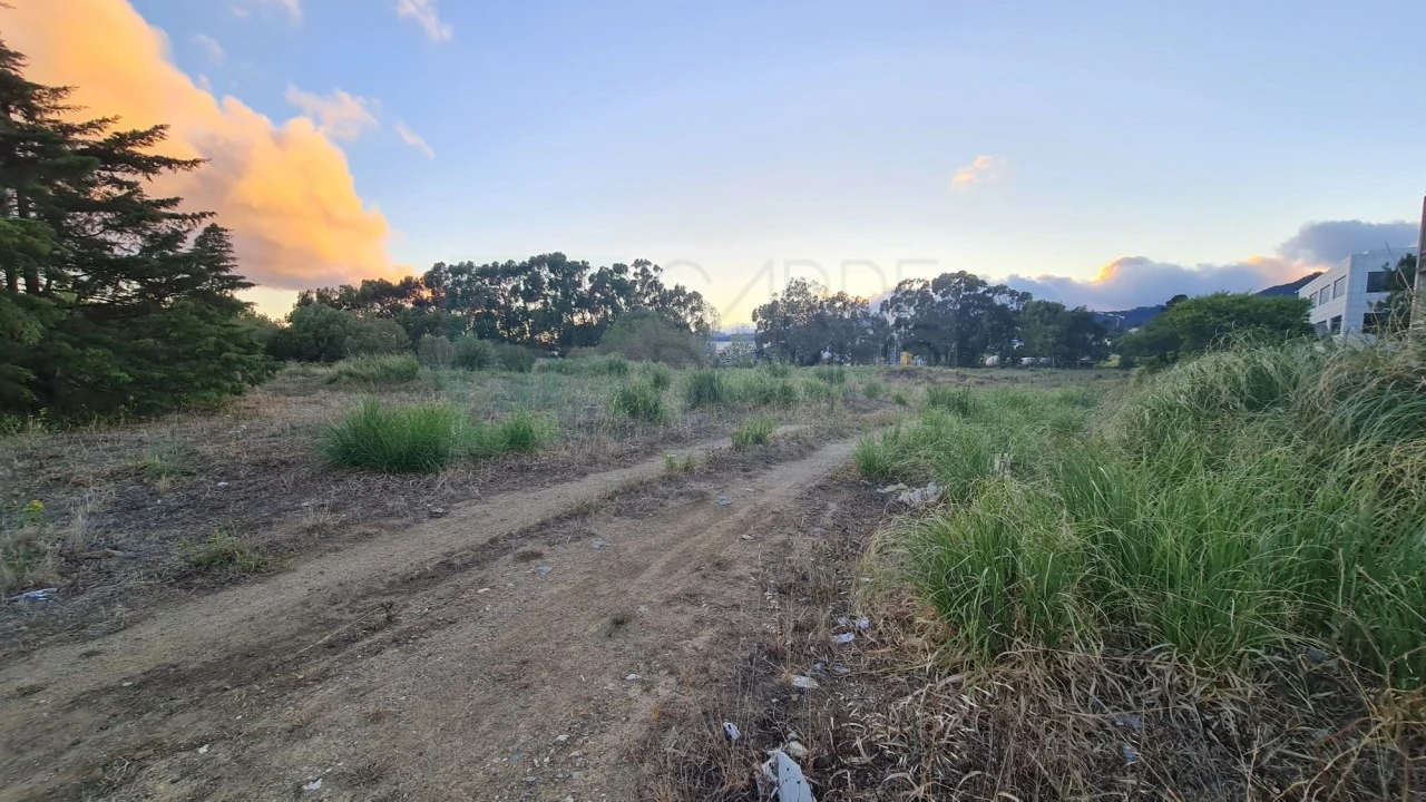 Terreno para Venda em Santa Maria e São Miguel, São Martinho, São Pedro Penaferrim Foto 25