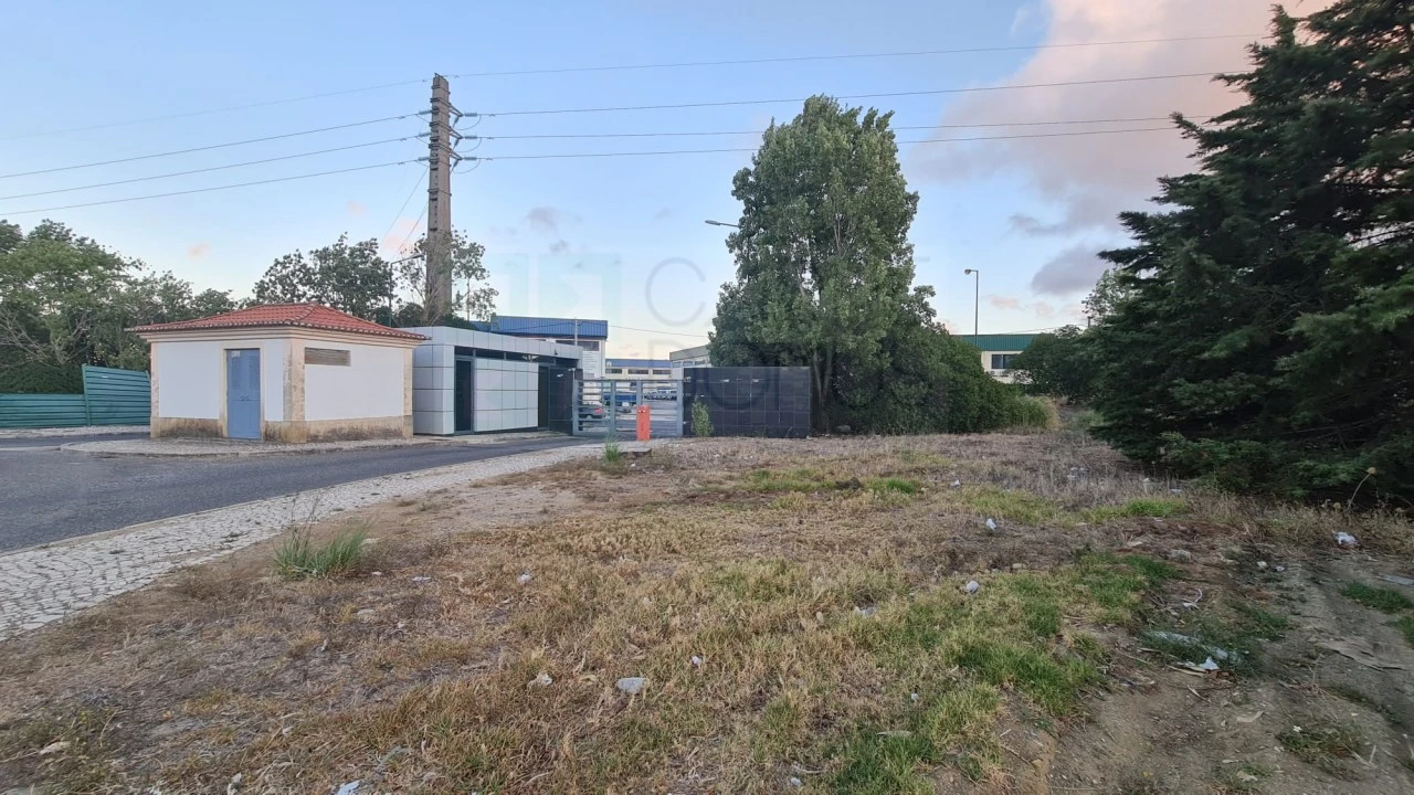 Terreno para Venda em Santa Maria e São Miguel, São Martinho, São Pedro Penaferrim Foto 28