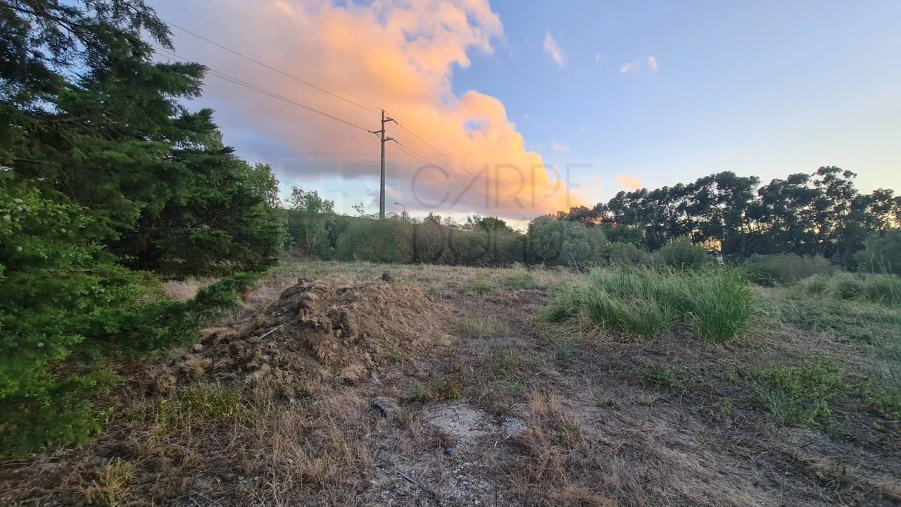 Terreno para Venda em Santa Maria e São Miguel, São Martinho, São Pedro Penaferrim Foto 24