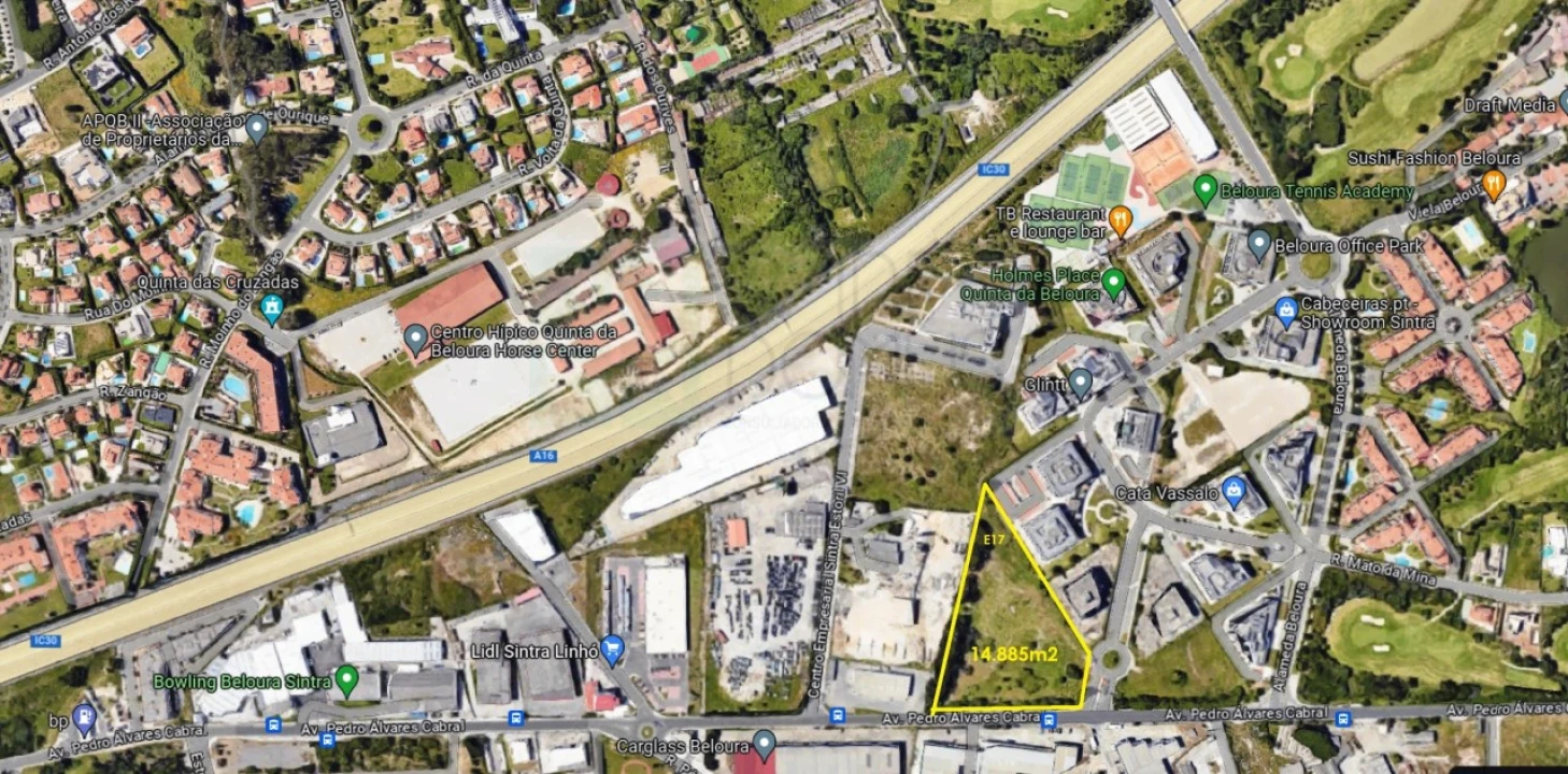 Terreno para Venda em Santa Maria e São Miguel, São Martinho, São Pedro Penaferrim Foto 8