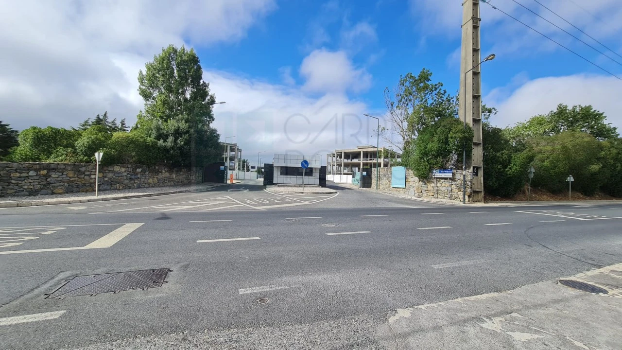 Terreno para Venda em Santa Maria e São Miguel, São Martinho, São Pedro Penaferrim Foto 38