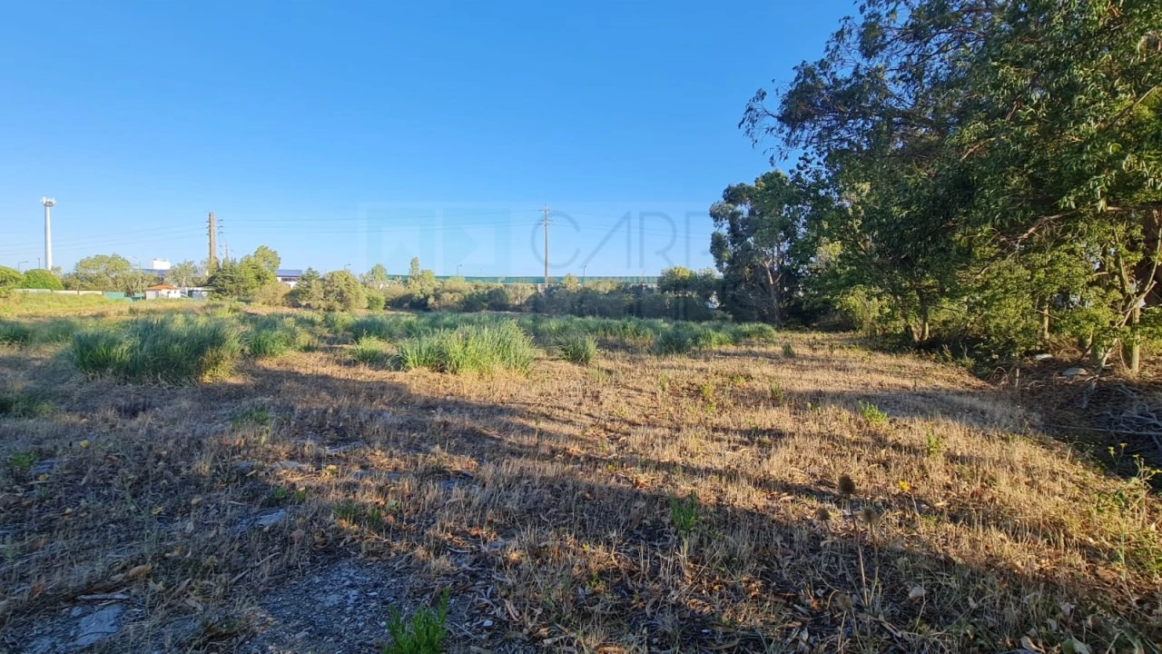 Terreno para Venda em Santa Maria e São Miguel, São Martinho, São Pedro Penaferrim Foto 12