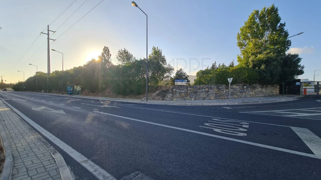 Terreno para Venda em Santa Maria e São Miguel, São Martinho, São Pedro Penaferrim Foto 39