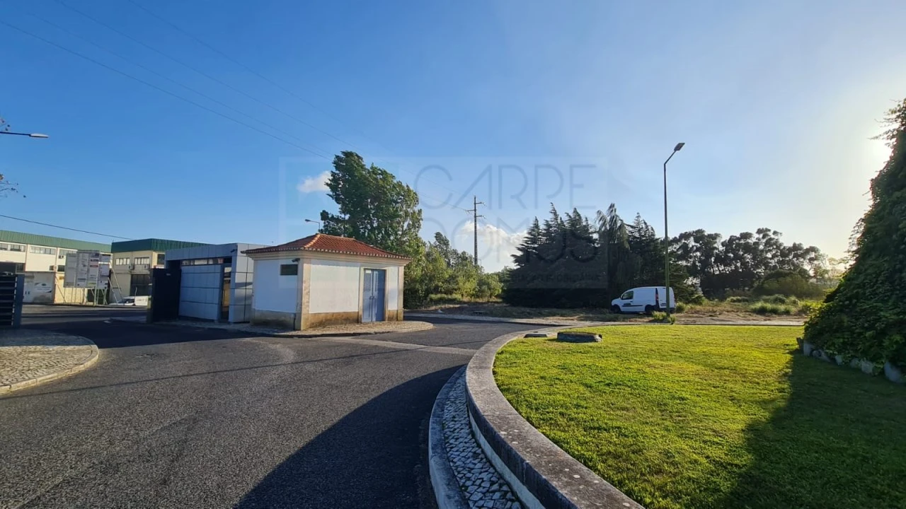 Terreno para Venda em Santa Maria e São Miguel, São Martinho, São Pedro Penaferrim Foto 44