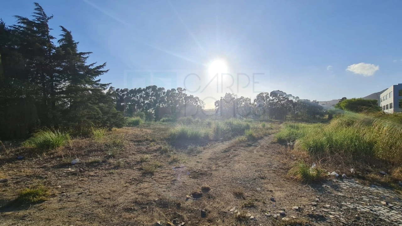 Terreno para Venda em Santa Maria e São Miguel, São Martinho, São Pedro Penaferrim Foto 45