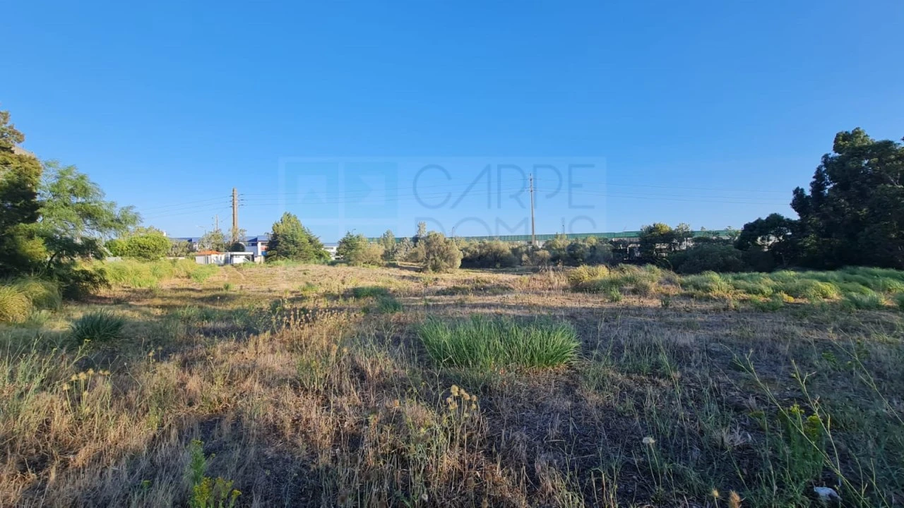 Terreno para Venda em Santa Maria e São Miguel, São Martinho, São Pedro Penaferrim Foto 46