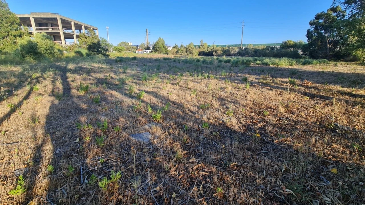 Terreno para Venda em Santa Maria e São Miguel, São Martinho, São Pedro Penaferrim Foto 48