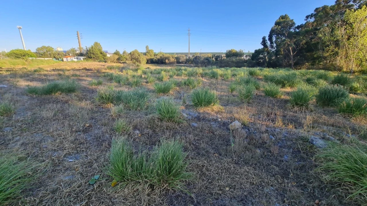Terreno para Venda em Santa Maria e São Miguel, São Martinho, São Pedro Penaferrim Foto 49