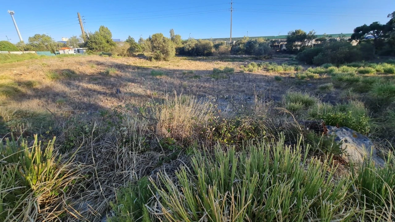 Terreno para Venda em Santa Maria e São Miguel, São Martinho, São Pedro Penaferrim Foto 50