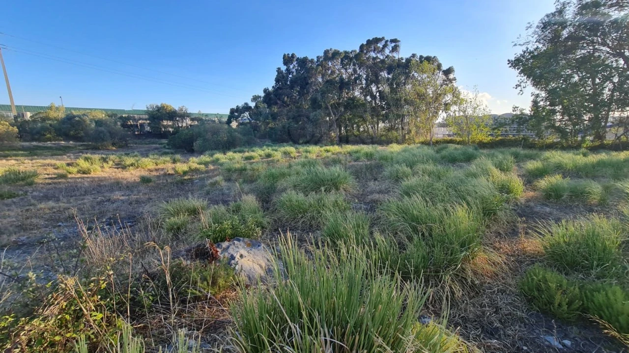 Terreno para Venda em Santa Maria e São Miguel, São Martinho, São Pedro Penaferrim Foto 51