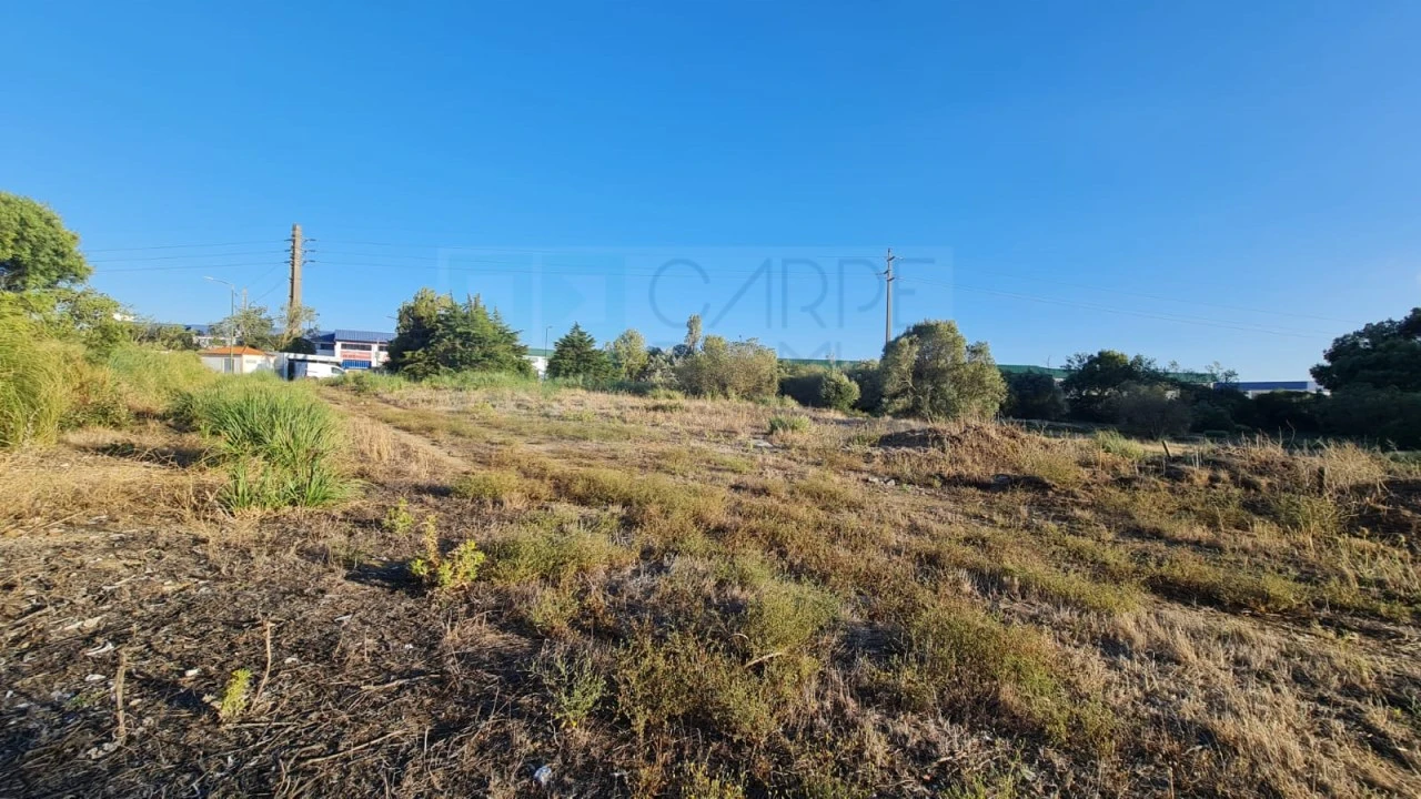 Terreno para Venda em Santa Maria e São Miguel, São Martinho, São Pedro Penaferrim Foto 52