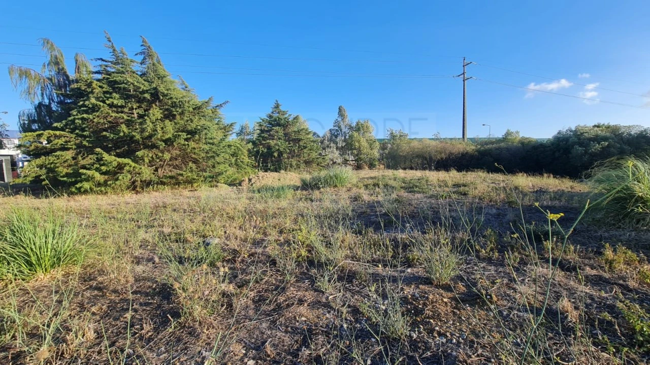 Terreno para Venda em Santa Maria e São Miguel, São Martinho, São Pedro Penaferrim Foto 53