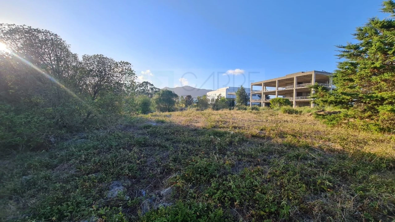 Terreno para Venda em Santa Maria e São Miguel, São Martinho, São Pedro Penaferrim Foto 55