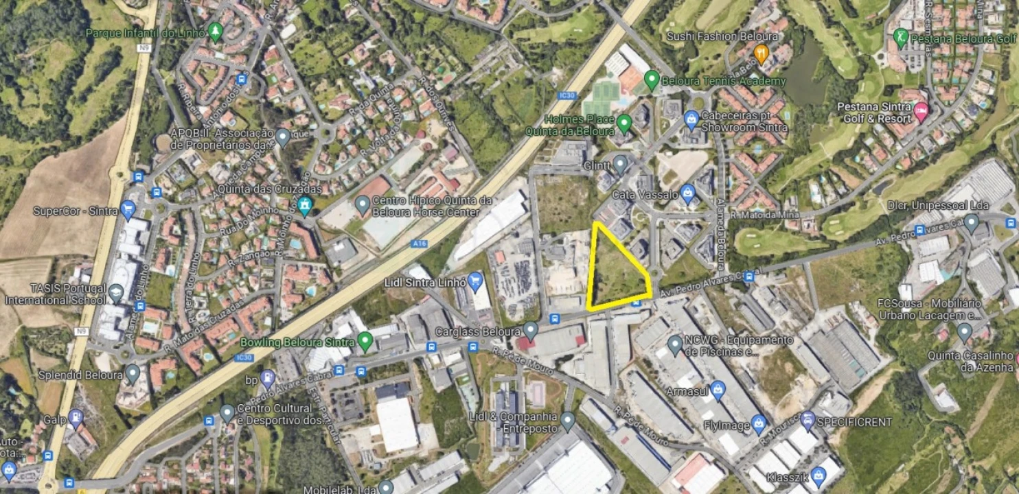 Terreno para Venda em Santa Maria e São Miguel, São Martinho, São Pedro Penaferrim Foto 9