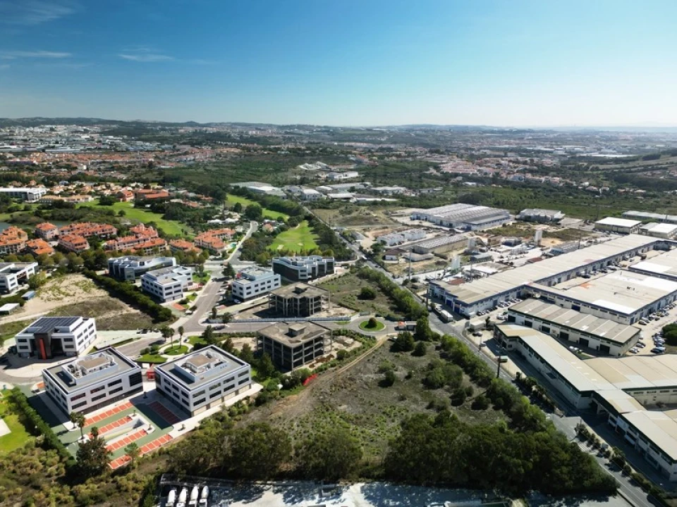 Terreno para Venda em Santa Maria e São Miguel, São Martinho, São Pedro Penaferrim Foto 5