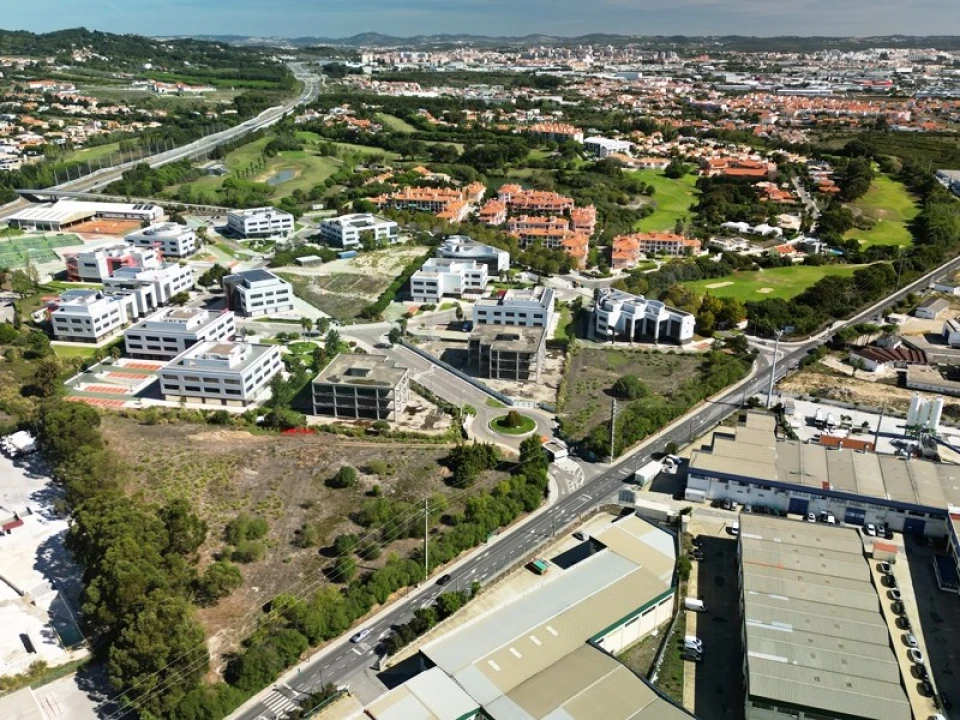 Terreno para Venda em Santa Maria e São Miguel, São Martinho, São Pedro Penaferrim Foto 61