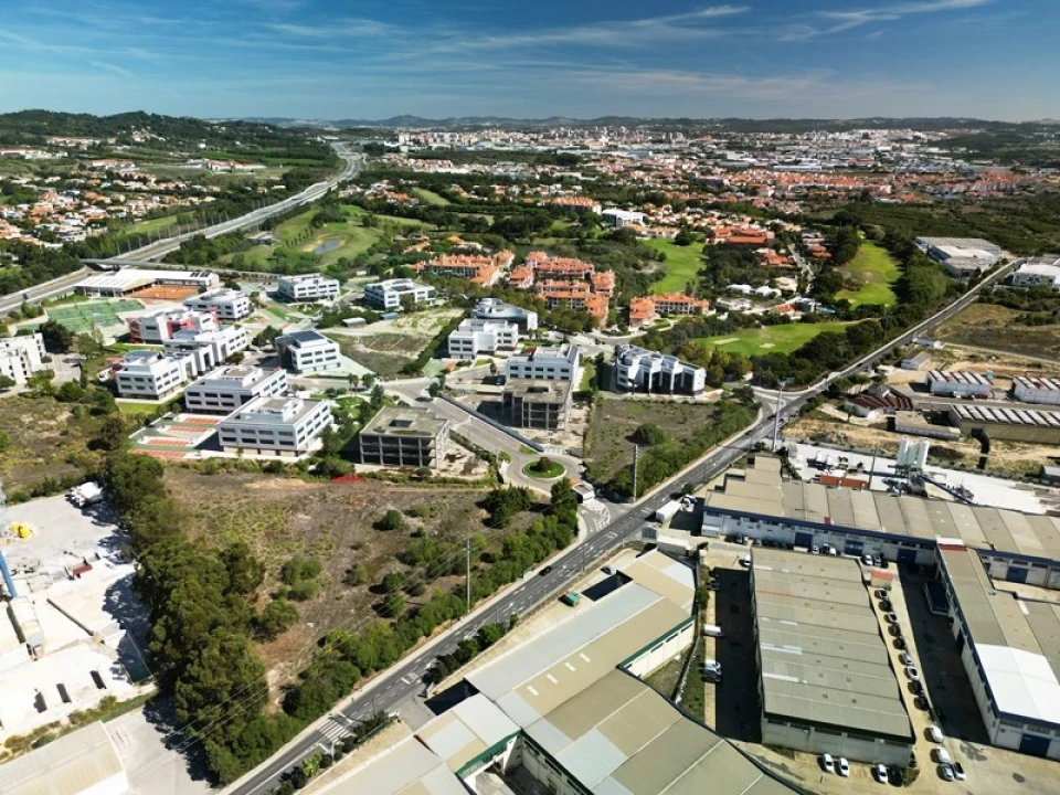 Terreno para Venda em Santa Maria e São Miguel, São Martinho, São Pedro Penaferrim Foto 2