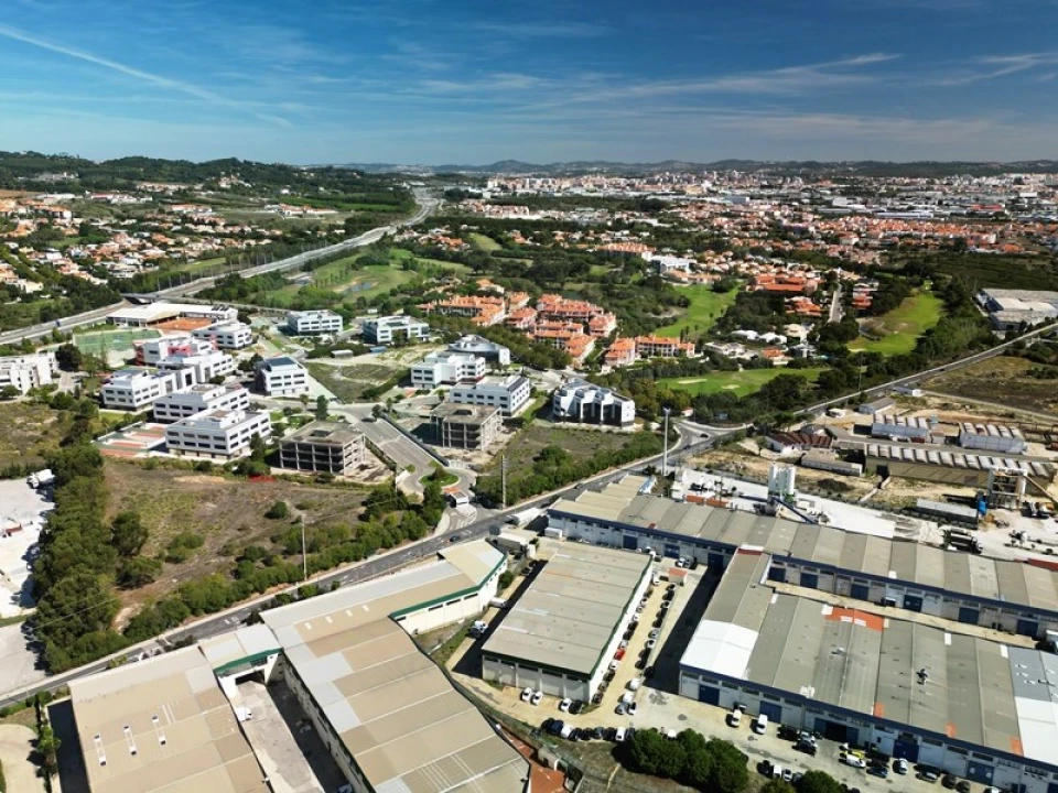 Terreno para Venda em Santa Maria e São Miguel, São Martinho, São Pedro Penaferrim Foto 63