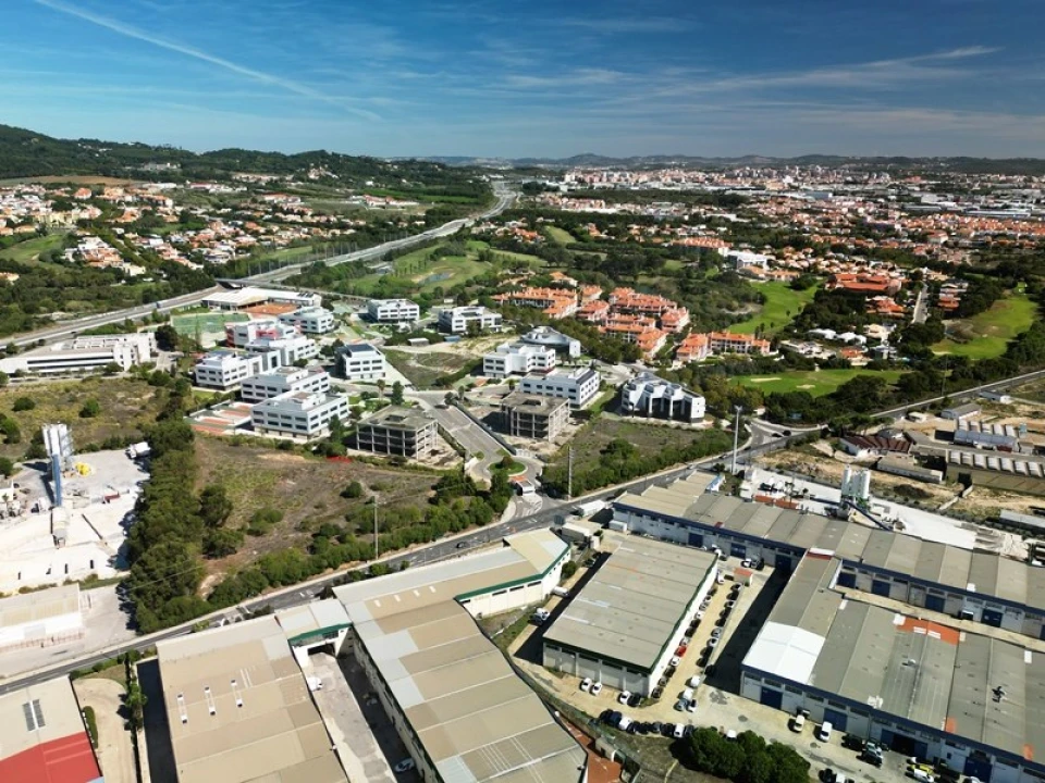 Terreno para Venda em Santa Maria e São Miguel, São Martinho, São Pedro Penaferrim Foto 64