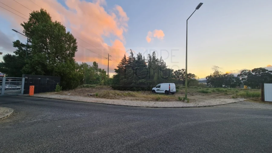 Terreno para Venda em Santa Maria e São Miguel, São Martinho, São Pedro Penaferrim Foto 14
