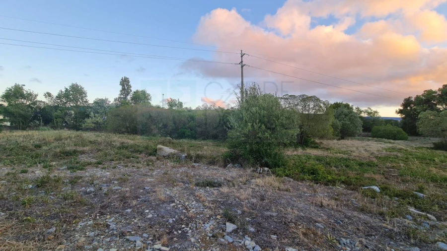 Terreno para Venda em Santa Maria e São Miguel, São Martinho, São Pedro Penaferrim Foto 15