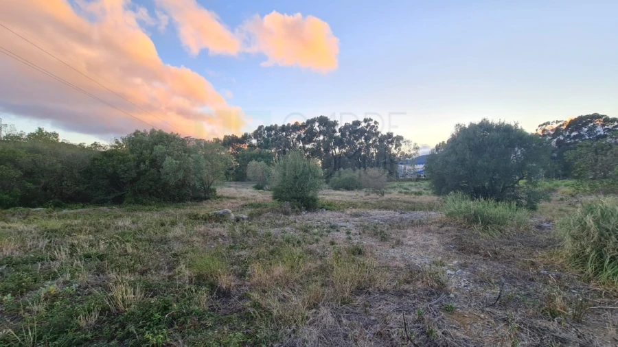 Terreno para Venda em Santa Maria e São Miguel, São Martinho, São Pedro Penaferrim Foto 16